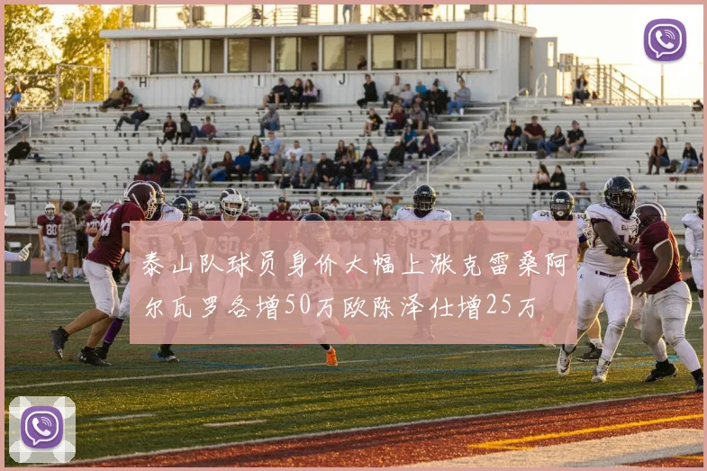 泰山队球员身价大幅上涨克雷桑阿尔瓦罗各增50万欧陈泽仕增25万