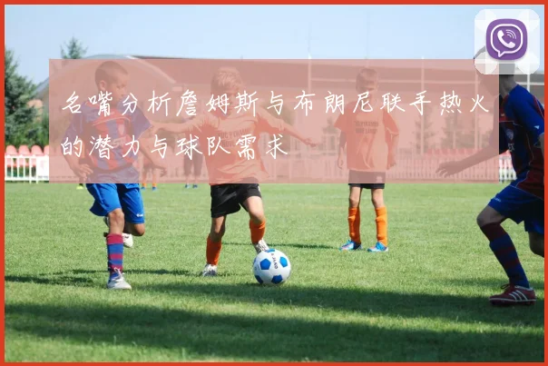 名嘴分析詹姆斯与布朗尼联手热火的潜力与球队需求